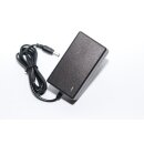 Steckerladegerät für 4S Li-Ion / Li-Poly Pack - LJH074-168020W - 16,8 Volt 2000mA