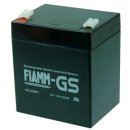 Fiamm - FG20451 - 12 Volt 4500mAh Pb