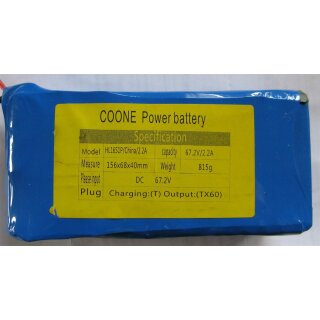 Akkureparatur - Zellentausch - COONE Power battery HL16S1P - 67,2 Volt Li-Ion Akku