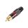 Velleman - CA051R - Cinch-Stecker - Vergoldete Spitze - Schwarzes Gehäuse - Rot