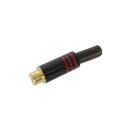 Velleman - CA062R - Cinch-Buchse - Vergoldete Spitze -...