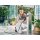 CELLFAST - GARTENSCHLAUCH - GREEN ATS2™ 1/2" - 50 m