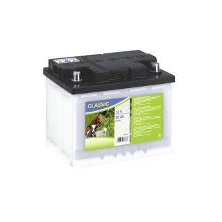 Special wet rechargeable battery, 12V, 80 AH (C100)