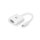 EWENT - USB-C-ZU-VGA-KONVERTER