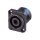 NEUTRIK - SPEAKON EINBAUSTECKER, 4-POLIGER EINBAUSTECKER, SCHWARZ, D-GRÖßE