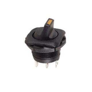 LEISTUNGSWIPPENSCHALTER 5A-250V SPST EIN-AUS - MIT ORANGEFARBIGER LED