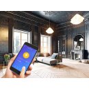 Perel - SMART1213 - Smart-WI-FI-LED-Lampe mit Filament - Warmweiß & intensiv Warmweiß - E27 - G125