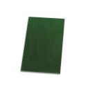 GRÜNE ERSATZSCHEIBE AUS GLAS FÜR VDL5004DL