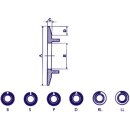 SKALENSCHEIBE FÜR 21mm DREHKNOPF (GRAU-WEIßE...