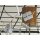 Wago - WG224101 / 224-101 - Leuchtenklemme - 2.5mm - 105° - Grau - 100er Box