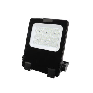 PROFESSIONELLER LED-STRAHLER - 60 W - WARMWEIß 3000K