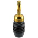 Bananen-Stecker
