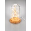 Glasglocke mit LED-Micro-Lichterkette