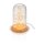 Glasglocke mit LED-Micro-Lichterkette