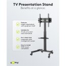 TV-Präsentationsständer Basic (Größe L)