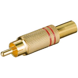 Cinch-Stecker