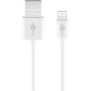 Apple Lightning Ladeset (5 W)