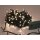 Sparkle Light LED - 16 m - 240 arizona weiße Lampen - grüner Draht - Modulator